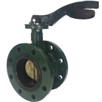 DOUBLE FLANGED BUTTERFLY VALVE
