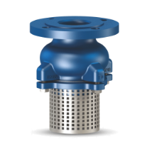 FOOT VALVE