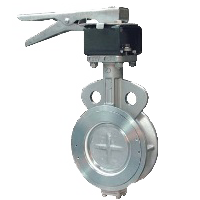 HIGH PERFORMANCE BUTTERFLY VALE